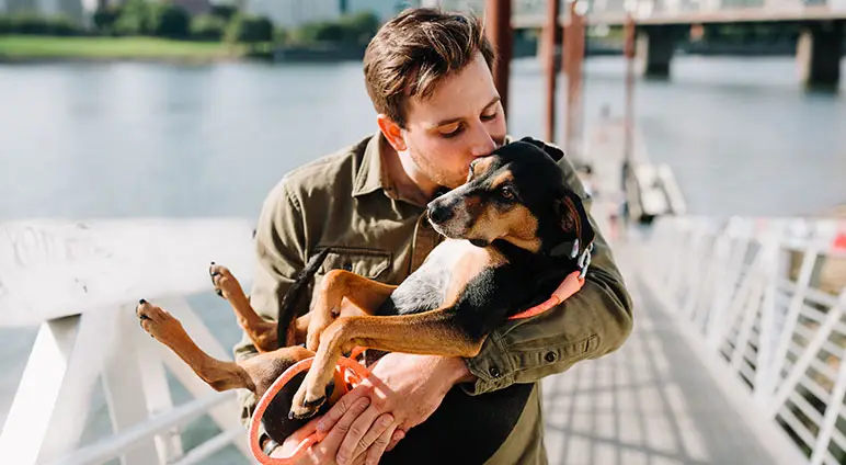 médaille gravée c'est la sécurité pour le chien
