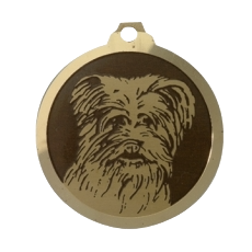 Médaille chien gravée Berger des Pyrénées