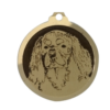 Médaille chien gravée Cavalier King Charles