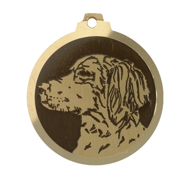 Médaille chien gravée Épagneul Breton