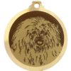 Médaille chien gravée Coton de Tulear
