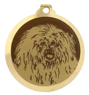 Médaille chien gravée Coton de Tulear