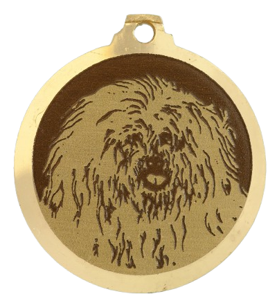 Coton_de_tulear___PC_009-removebg-preview Médaille chien gravée Coton de Tulear