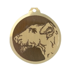 Médaille chien gravée Airdale Terrier