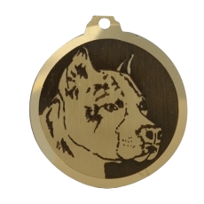 Médaille chien gravée American Staffordshire