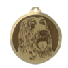Médaille chien gravée Bearded Collie