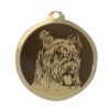 Médaille chien gravée Berger Briard