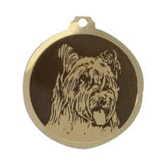Médaille chien gravée Berger Briard