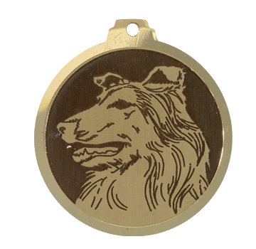 Médaille chien gravée Berger d'Écosse