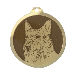 Médaille chien gravée Berger Picard