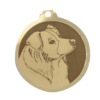 Médaille chien gravée Border Collie