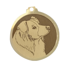 Médaille chien gravée Border Collie