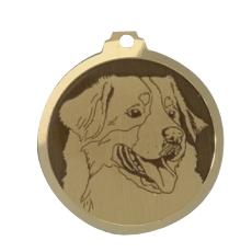 Médaille chien gravée Bouvier Bernois
