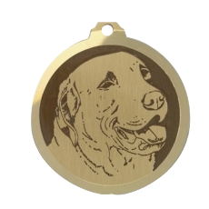 Médaille chien gravée Chesapeake Bay Ret