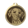 Médaille chien gravée Dalmatien