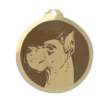 Médaille chien gravée Dogue Allemand O.C
