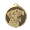 Médaille chien gravée Dogue Allemand O.N.C