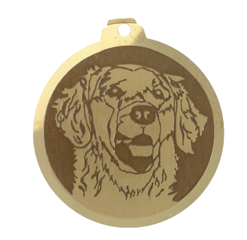 Médaille chien gravée Golden Retriever