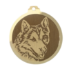 Médaille chien gravée Husky Sibérien