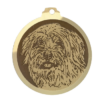 Médaille chien gravée Schapendoes