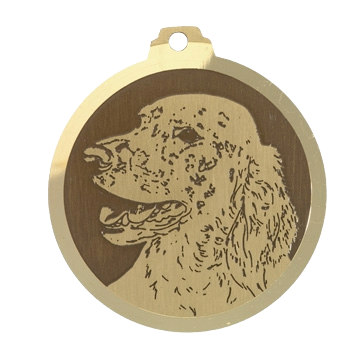 Médaille chien gravée Setter Anglais