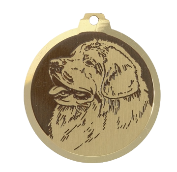 Médaille chien gravée Terre-Neuve
