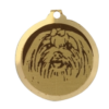 Médaille chien gravée Bichon Maltais
