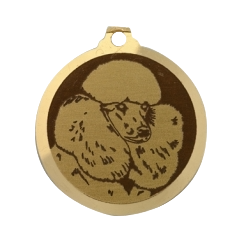 Médaille chien gravée Caniche Museau Rasé