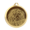 Médaille chien gravée Coton de Tulear