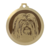 Médaille chien gravée Lhassa Apso