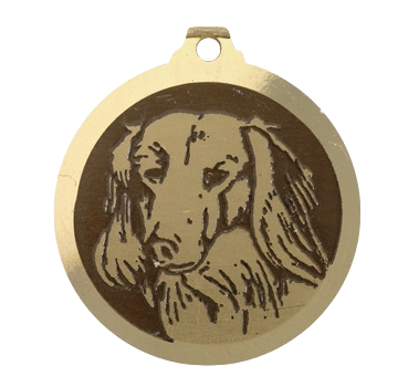 Médaille chien gravée Teckel poils longs