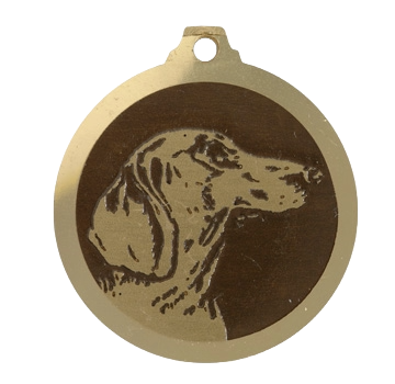 Médaille chien gravée Teckel poils courts