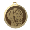 Médaille chien gravée Teckel poils durs