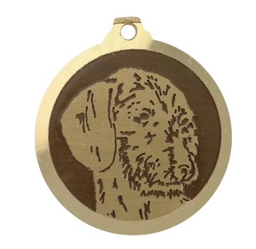 Médaille chien gravée Teckel poils durs