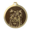 Médaille chien gravée Yorkshire poils longs