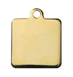 Médaille chien ou chat Carrée Or CLASSIC – élégance durable et sécurité optimale