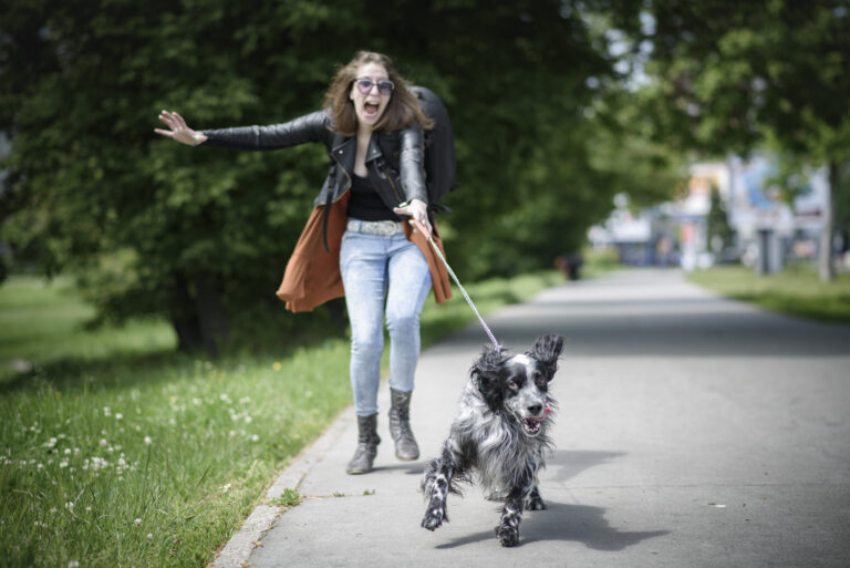 apprendre au chien a ne pas tirer sur la laisse
