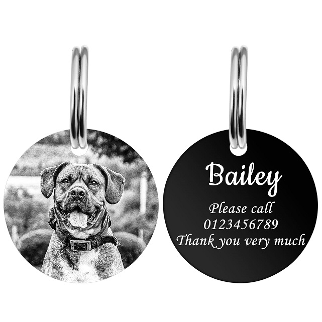 Les erreurs a ne pas commettre sur une médaille pour chien