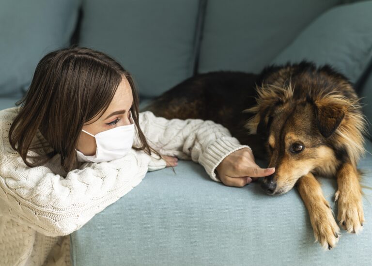 mon chien malade vomit, a la diarrhée