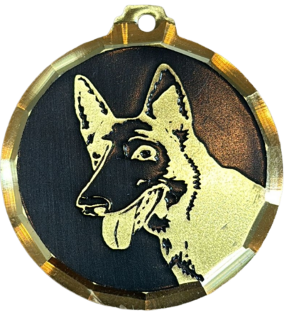 Médaille chien gravée Malinois