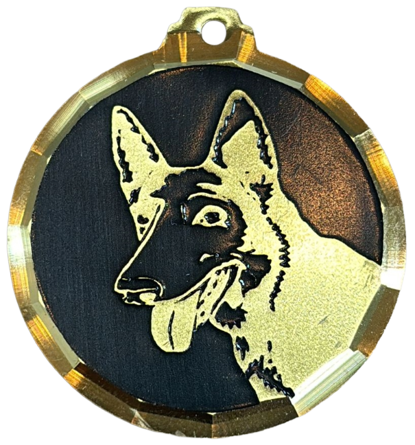 Médaille chien gravée Malinois