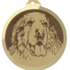Médaille chien gravée Montagne des Pyrénées
