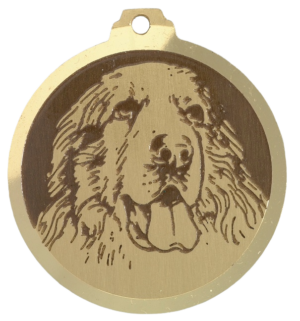 Médaille chien gravée Montagne des Pyrénées