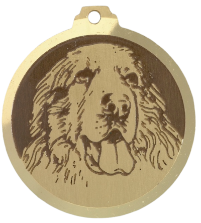 Médaille chien gravée Montagne des Pyrénées