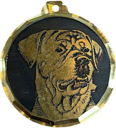 Médaille chien gravée Rottweiller