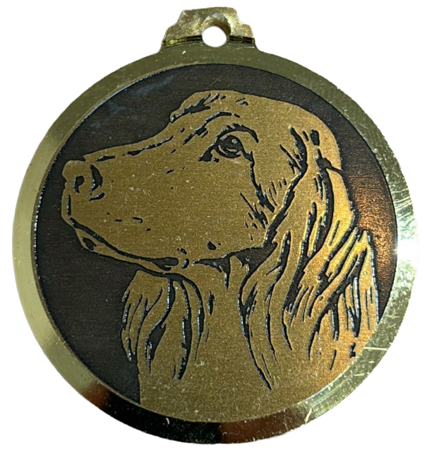 Médaille chien gravée Setter Irlandais