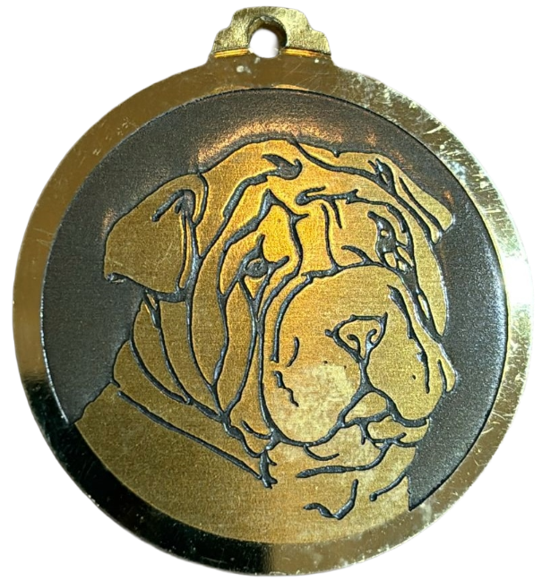 Médaille chien gravée Shar Pei
