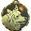 Médaille chien gravée Spitz Géant