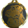 Médaille chien gravée Springer Spaniel