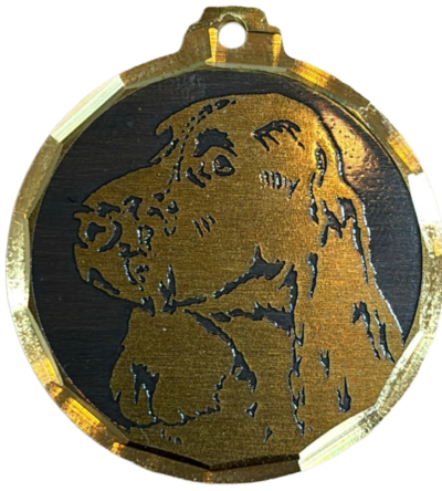 Médaille chien gravée Springer Spaniel